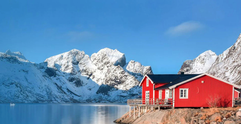 Fish oil or cod liver oil? Understand the differences