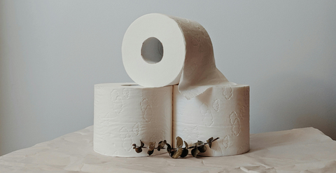 The Scoop on Poop
