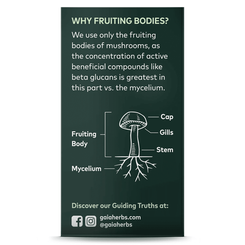 Cordyceps Mushroom | Gaia Herbs
