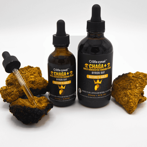 Chaga Mushroom Extract | Life Cykel
