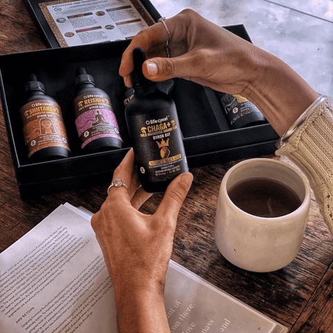 Chaga Mushroom Extract | Life Cykel