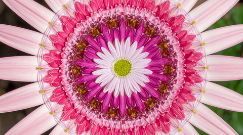Ayurveda