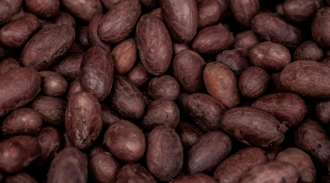 Cacao