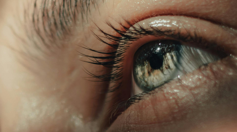 Eyes & Vision