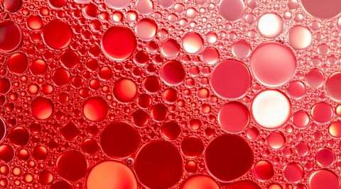 Krill Oil