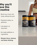 Creatine Focus+ | Chief Nutrition