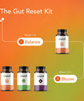 Gut Reset Kit | Gutsi