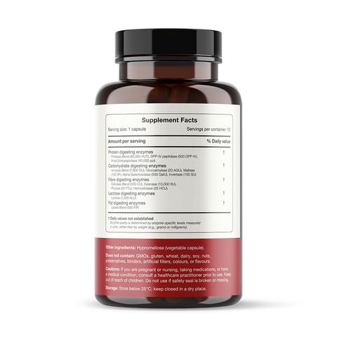 Gut Digest | Gutsi