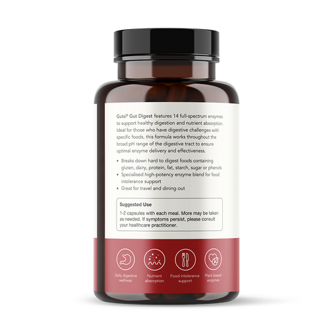 Gut Digest | Gutsi