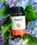 SporeBiotic™ Probiotic + Antioxidant | Gutsi