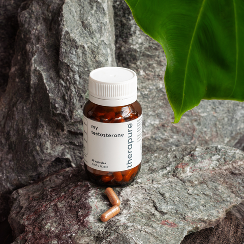 my testosterone | Therapure
