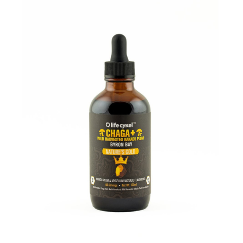 Chaga Mushroom Extract 120 mL | Life Cykel