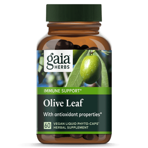 Olive Leaf Phytocaps 60s | Gaia Herbs