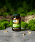 Immune Mushroom Blend | Gaia Herbs