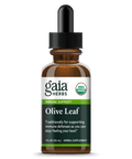 Olive Leaf Liquid 30 mL | Gaia Herbs