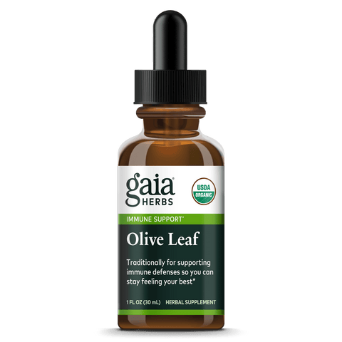 Olive Leaf Liquid 30 mL | Gaia Herbs