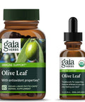 Olive Leaf | Gaia Herbs