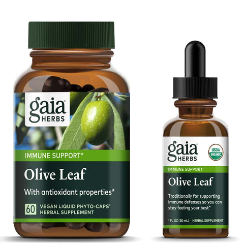 Olive Leaf | Gaia Herbs