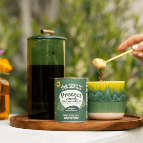 Protect Organic Mushroom Blend | Four Sigmatic